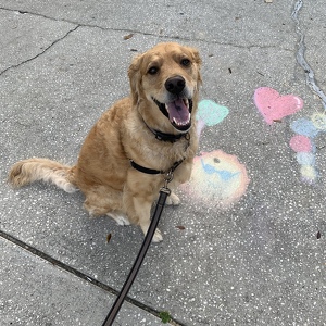 Team Page: Team Carl